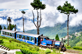 Toy Train in Darjeeling