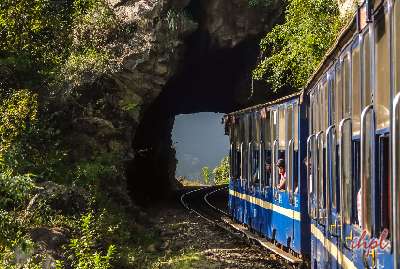 Bandipur Tour with Ooty