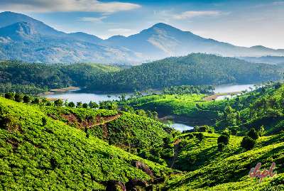 Best of Kerala with Spice Tour