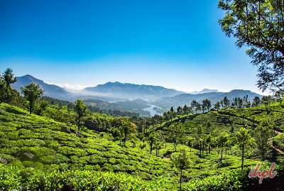 6 Days Kerala Budget Tour