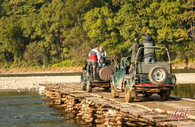 Jim Corbett with Nainital Tour