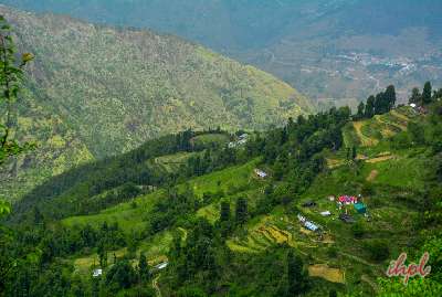 Mussoorie Dhanaulti Tour