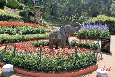 Short Escape Ooty Tour