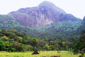 Agasthyakoodam Peak