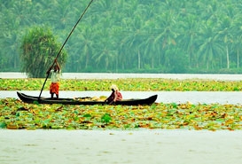 Vellayani Lake