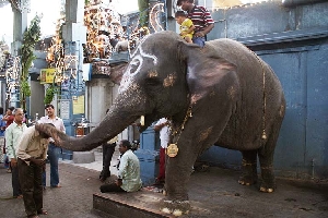 Sri Manakula Vinayagar Temple