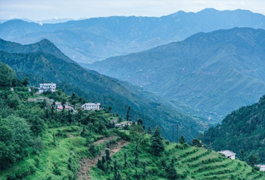 Dhanaulti