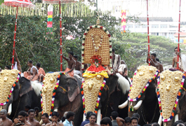 Pariyanampetta Pooram