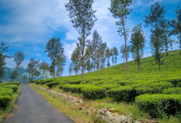 Wayanad